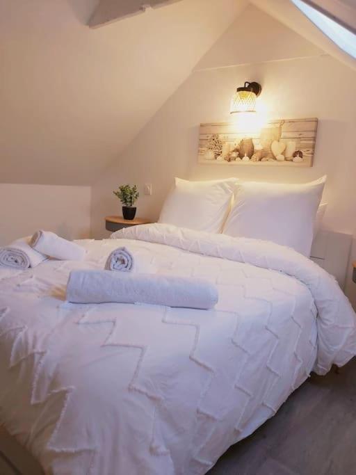 Duplex Cosy 2 Apartment Gouesnou Luaran gambar